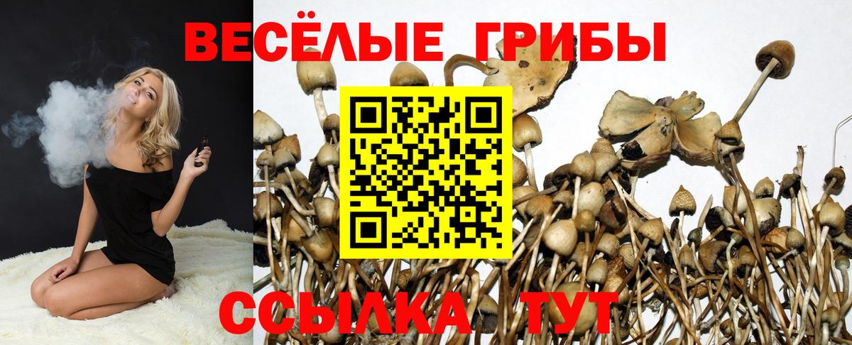 Бутурлиновка  Псилоцибиновые грибы Cubensis  Галлюциногенные грибы прущие грибы  Вход с VPN 